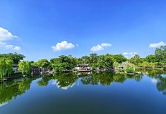 手机随拍（14）
