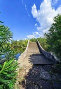 手机随拍（14）