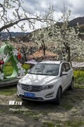 阿坝金川世外梨花园（6）