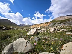 手机拍青海【6】