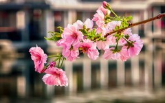 手机游拍20260316《20》