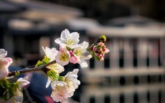 手机游拍20260316《20》