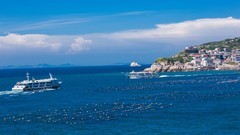 外出随拍（604）.