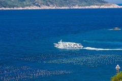 外出随拍（604）.