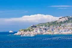 外出随拍（604）.