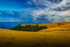 新疆喀拉峻草原 19