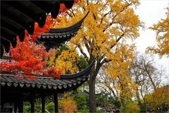 2025年第0906贴-苏州留园纪实旅拍（1229）