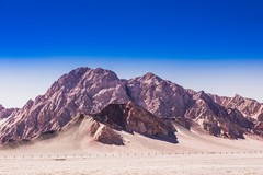 外出随拍（740）.