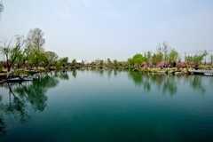 泉城风光——72名泉之一●白泉映像