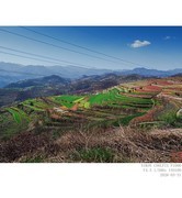 桃花盛开的村庄 4