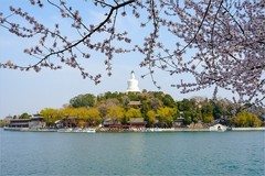 2026年第0218贴 - 北海公园桃花纪实（0325）