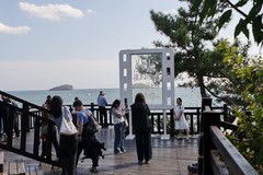 滨城游拍——节日海边掠影