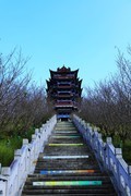 泰顺风光 (2)