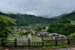 日本中部升龙道印象——白川乡合掌村【1】