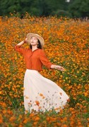 洋湖湿地公园琉磺菊