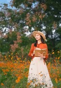 洋湖湿地公园琉磺菊