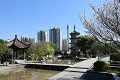 滨江公园（续）