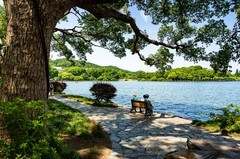 西湖风景（二）