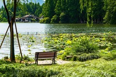 西湖风景（二）