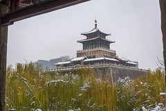 济南解放阁雪景