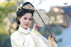 【明制雅韵】---婉灵