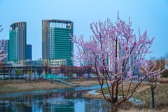 迎春赏景—(2)