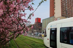 光谷天地（一）