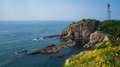 六 月，大 连 来 看 海 （ 五 ）