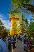 香格里拉7