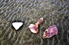 丹东——大鹿岛（6）