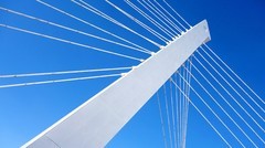 盛京大桥拉索琴韵