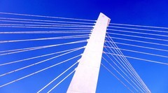 盛京大桥拉索琴韵