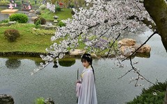 樱园拍到了林MM