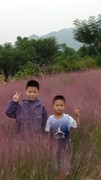 秋游