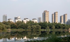 庐州印象（708）