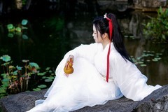 【一葫清酒卧溪山】---影子