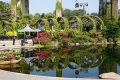 广州云萝植物园--1