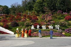 广州云萝植物园--1