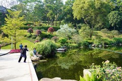 广州云萝植物园--1