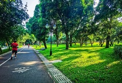 深圳笔架山公园 掠影