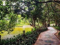 深圳笔架山公园 掠影