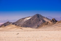 外出随拍（742）.