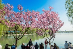 春游北京玉渊潭