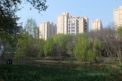 满园春色惹人醉