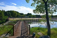 湿地游拍（续）