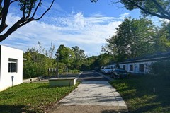 湿地游拍（续）