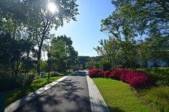 湿地游拍（续）