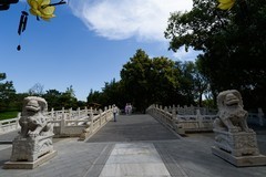 开封  铁塔公园上