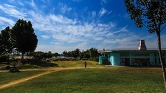 龙湖湿的公园----粉黛乱子草秋拍