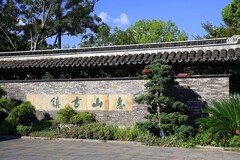 小景随拍（10）